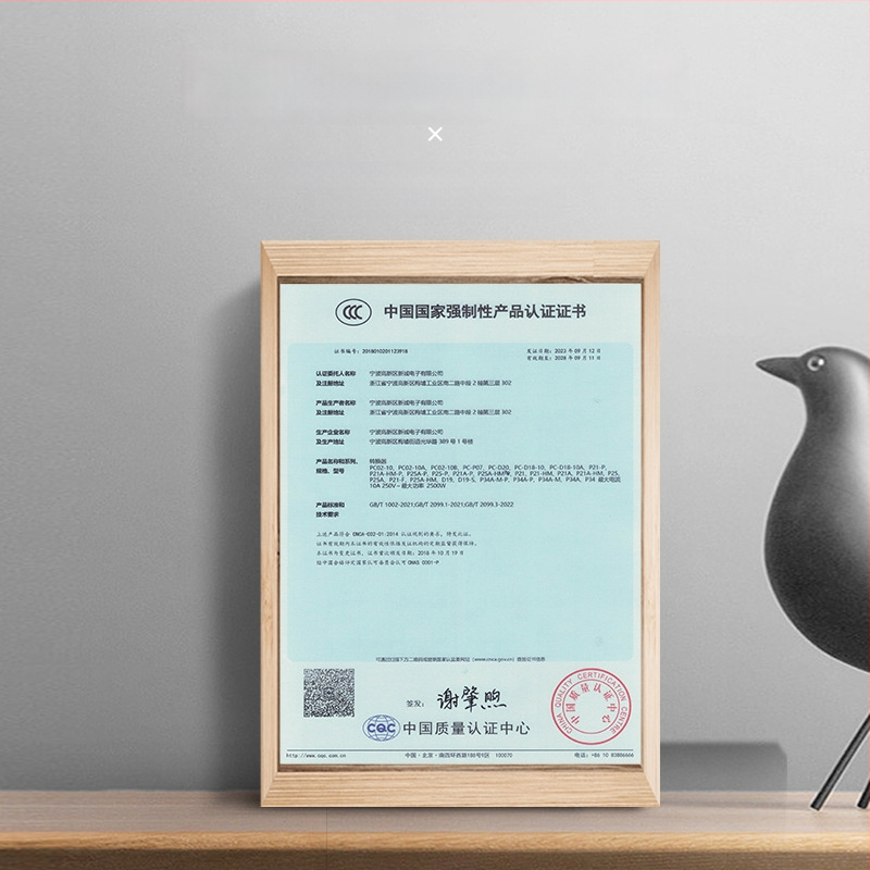 Pinhe Išmanioji kištukinė lizda su laikmačiu, CCC sertifikatas ir apsauga nuo perkrovos įkrovimui elektromobiliui ir išmaniesiems telefonams