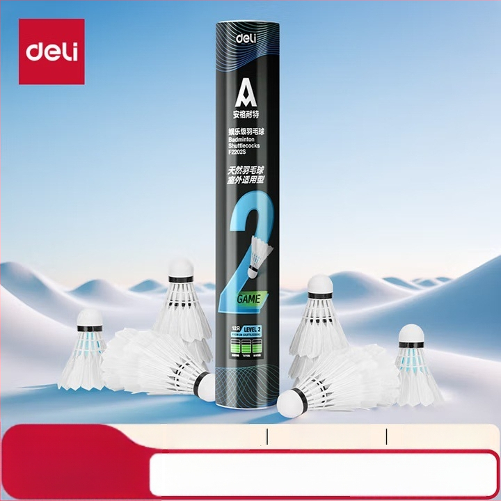 Deliangernet badminton raketė, 2 vnt., 95–100 g, tiesus smūgis, amatoriams ir jaunimui