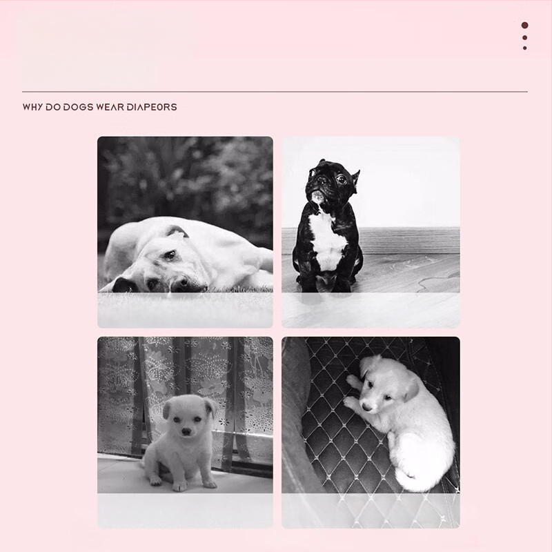 Kaķu un suņu autiņi ar elpojošu pamatplāti, polimēra un koksnes celulozes kodolu, elastīgu jostu – 10 gab.