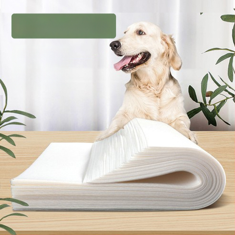 Vienreizējās lietošanas suņa urīna absorbcijas papīrs Teddy — urīnbarjera, netkants materiāls