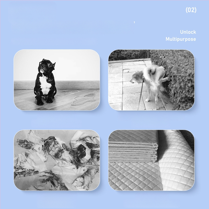 Vienreizējās lietošanas suņa urīna absorbcijas papīrs Teddy — urīnbarjera, netkants materiāls