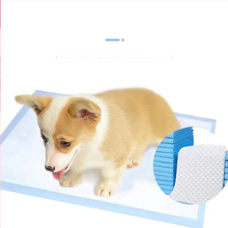 Kaķu un suni mācību paliktnis - absorbējošs, smaku neitralizēšana, nešūts materiāls