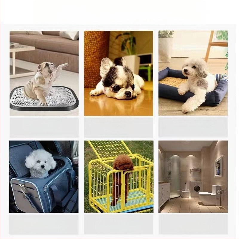 Kaķu un suni mācību paliktnis - absorbējošs, smaku neitralizēšana, nešūts materiāls