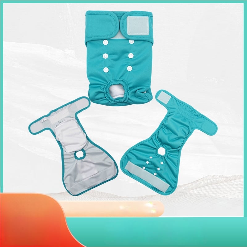 Šunų šlapimo higienos kelnaitės inkontinencijai ir menstruacijoms – Neimportuota, Kilmė: Kita, 2025 m. pavasario leidimas