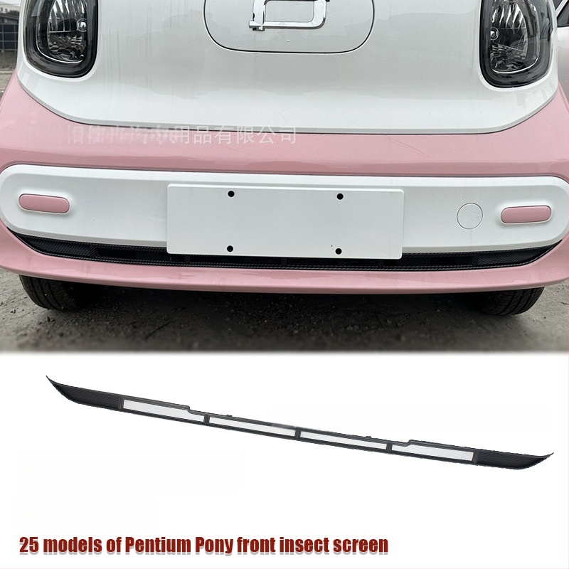 ABS Priekinė apatinė vabzdžių tinklas 25 Pentium Pony modeliams su anglies pluošto apdaila