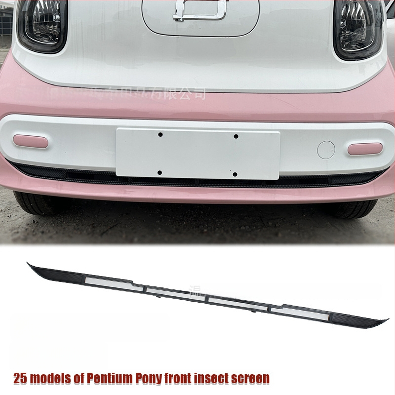 ABS Priekinė apatinė vabzdžių tinklas 25 Pentium Pony modeliams su anglies pluošto apdaila