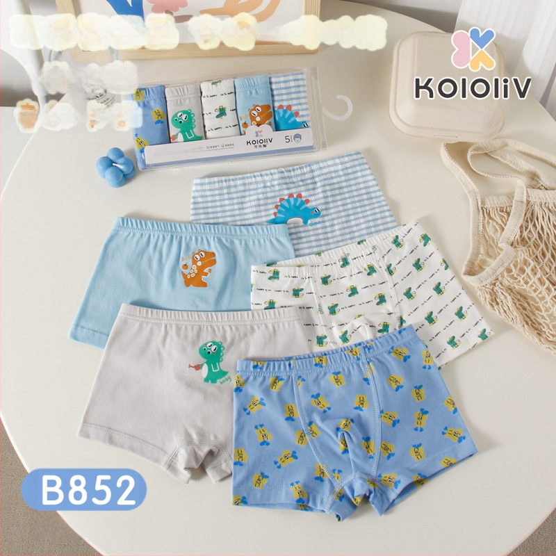 Berniukų 100% medvilnės boxeriai, Klase A, 8+ metų (virš 140 cm), pavasaris 2024