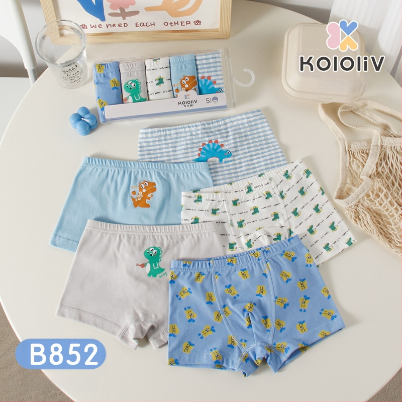 Berniukų 100% medvilnės boxeriai, Klase A, 8+ metų (virš 140 cm), pavasaris 2024