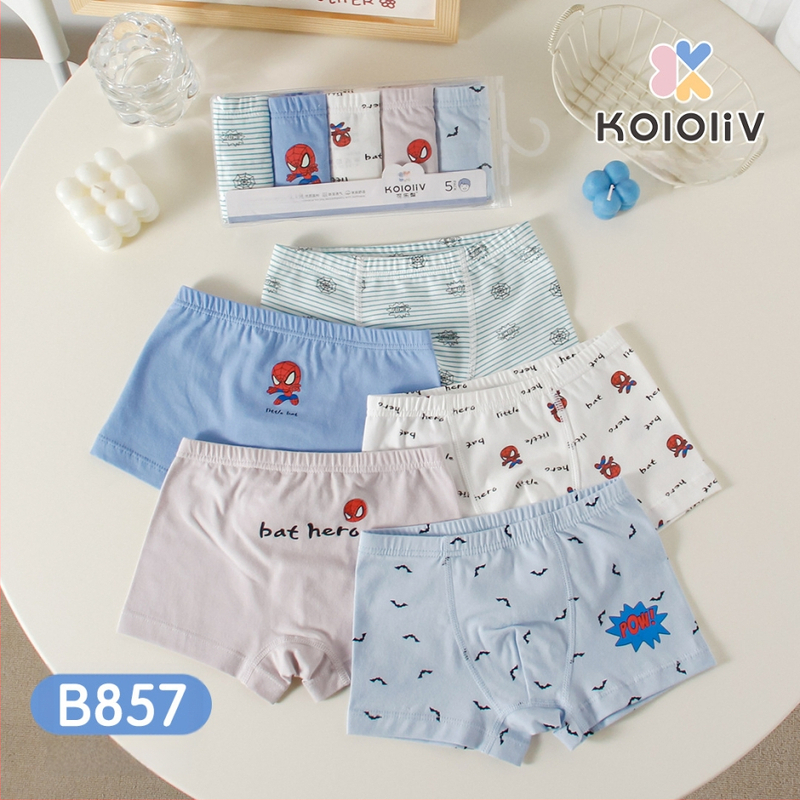 Berniukų 100% medvilnės boxeriai, Klase A, 8+ metų (virš 140 cm), pavasaris 2024