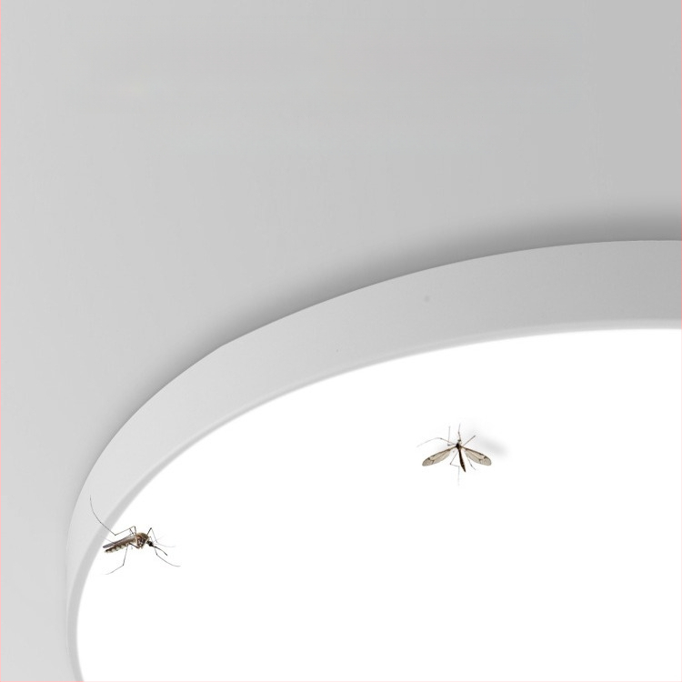 LED lubų šviestuvas su trimis apsaugomis, 220V, 3–5 m² aprėptis, akrilo korpusas su ABS gaubtu, tinka virtuvei ir tualetei