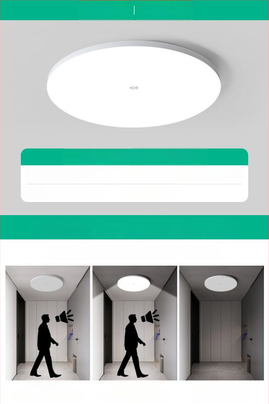 Lubų šviestuvas (LED, judesio jutiklis, 220V, aprėptis 10–15 m²)