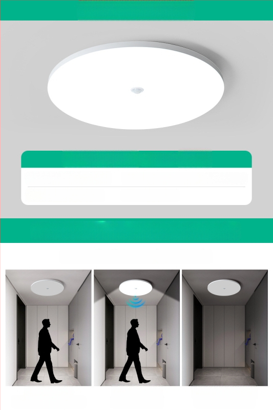 Lubų šviestuvas (LED, judesio jutiklis, 220V, aprėptis 10–15 m²)