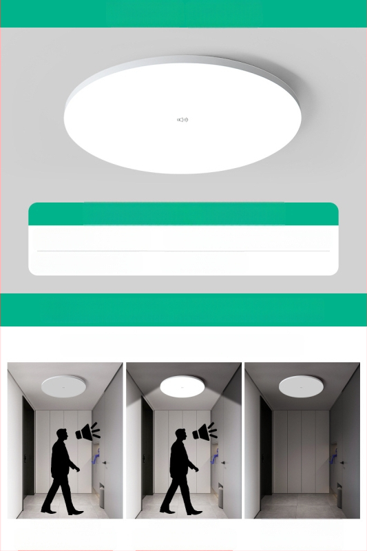 Lubų šviestuvas (LED, judesio jutiklis, 220V, aprėptis 10–15 m²)