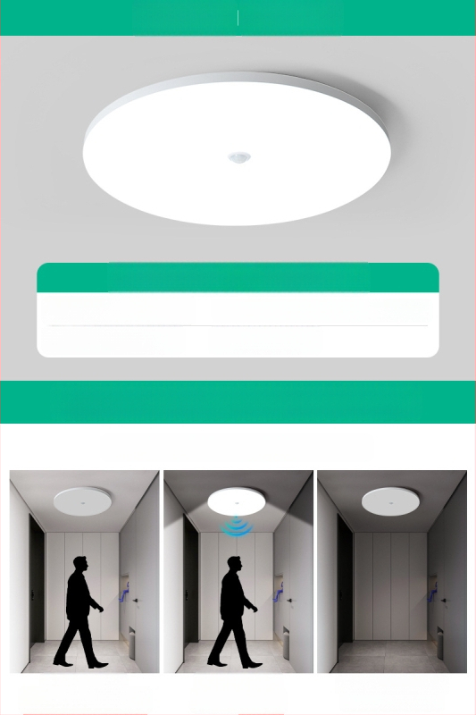 Lubų šviestuvas (LED, judesio jutiklis, 220V, aprėptis 10–15 m²)