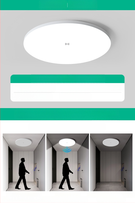 Lubų šviestuvas (LED, judesio jutiklis, 220V, aprėptis 10–15 m²)