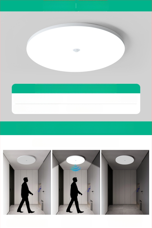 Lubų šviestuvas (LED, judesio jutiklis, 220V, aprėptis 10–15 m²)