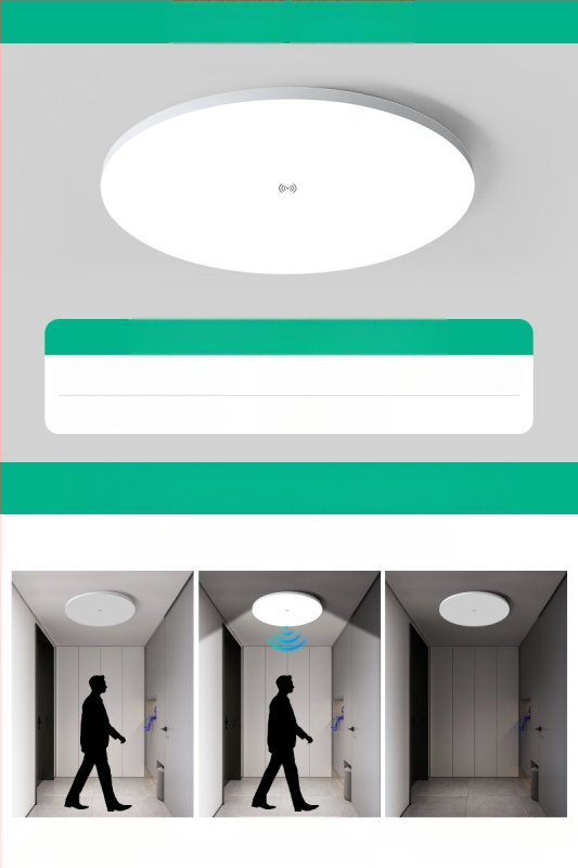 Lubų šviestuvas (LED, judesio jutiklis, 220V, aprėptis 10–15 m²)