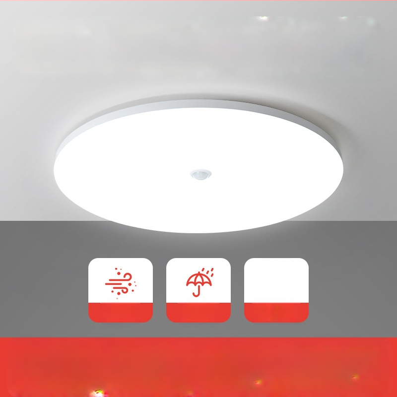 Lubų šviestuvas (LED, judesio jutiklis, 220V, aprėptis 10–15 m²)