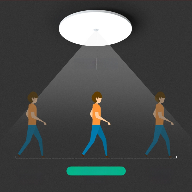 Lubų šviestuvas (LED, judesio jutiklis, 220V, aprėptis 10–15 m²)