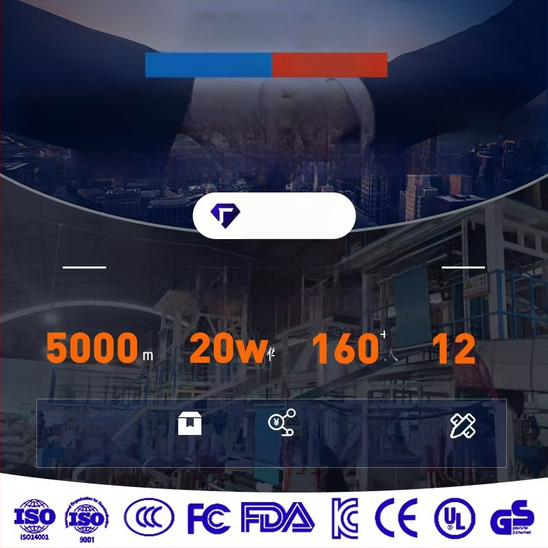 Ekspresinio kurjerio maišelis, savęs užsandaromas, PE medžiaga, 10 kg apkrova, spausdintas logotipas, tinkamas tarptautiniam pristatymui