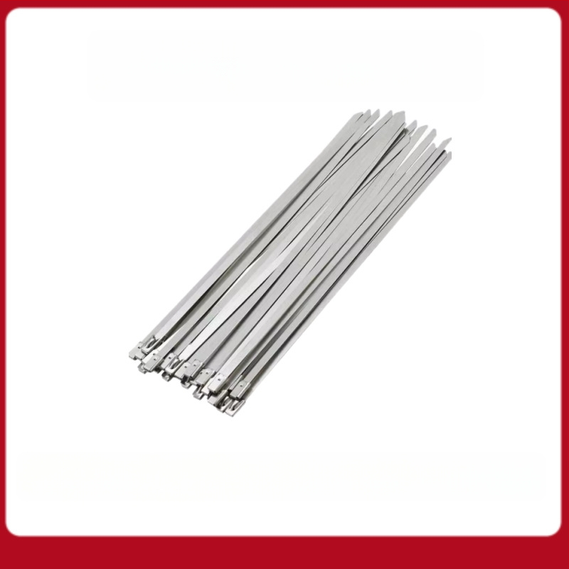 Automatiškai užrakinančios kabelių juostos kabelių kanalams, iš 304 nerūdijančio plieno, įtrauktos replės, pakuotė 100 vnt.