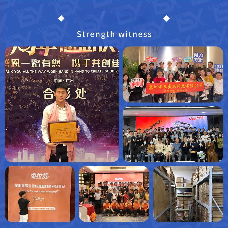 Chip Can TEA2016AAT skaitmeninis maitinimo valdiklio IC, SOP-16 pakuotė, TEA2016AAT/2Y ir TEA2016AAT/1/S30Y variantai