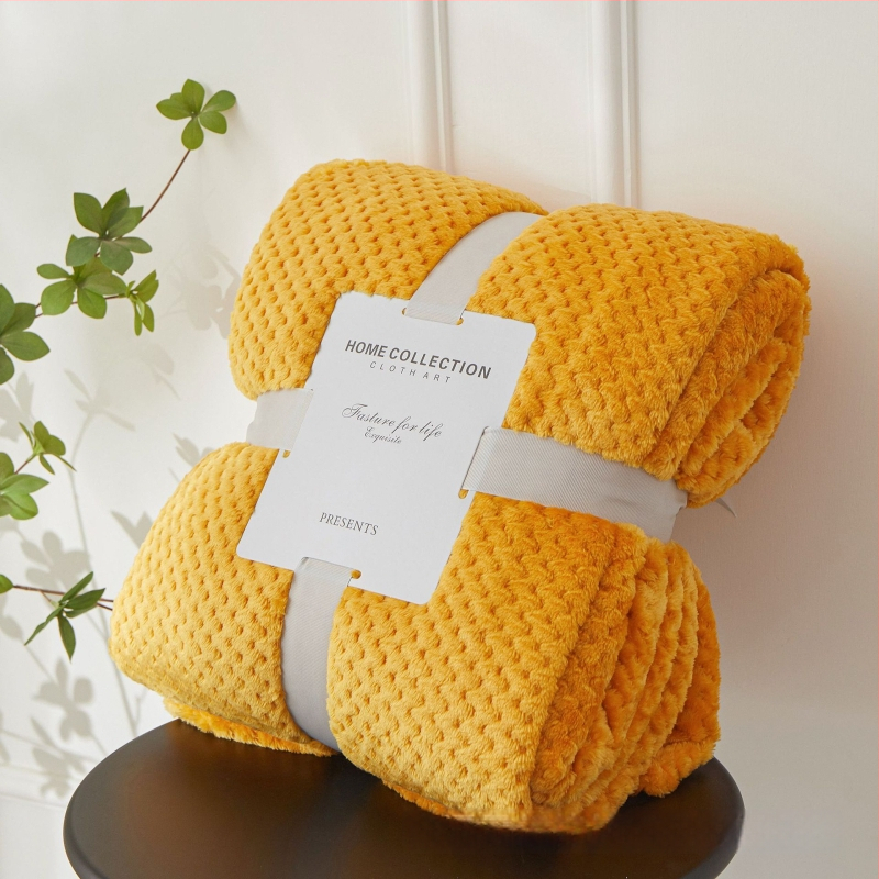 Koralinio fliso pledas, poliesterio pluoštas, 300gsm, pavasaris ir ruduo, pritaikymas prieinamas