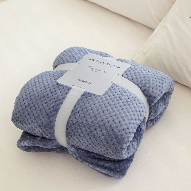 Koralinio fliso pledas, poliesterio pluoštas, 300gsm, pavasaris ir ruduo, pritaikymas prieinamas