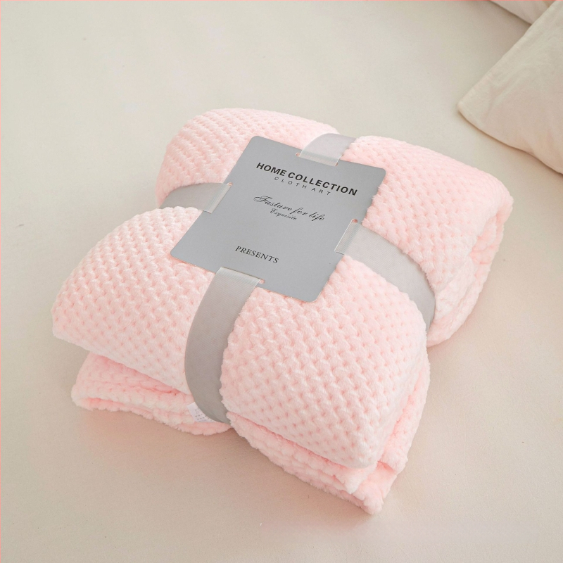 Koralinio fliso pledas, poliesterio pluoštas, 300gsm, pavasaris ir ruduo, pritaikymas prieinamas