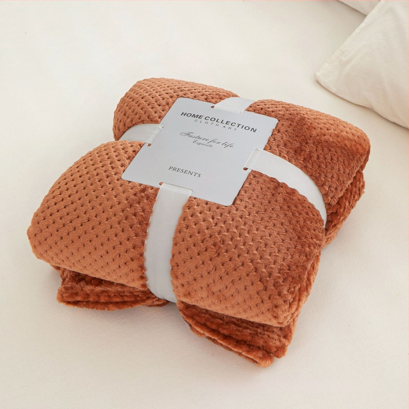 Koralinio fliso pledas, poliesterio pluoštas, 300gsm, pavasaris ir ruduo, pritaikymas prieinamas