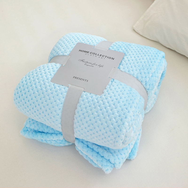 Koralinio fliso pledas, poliesterio pluoštas, 300gsm, pavasaris ir ruduo, pritaikymas prieinamas