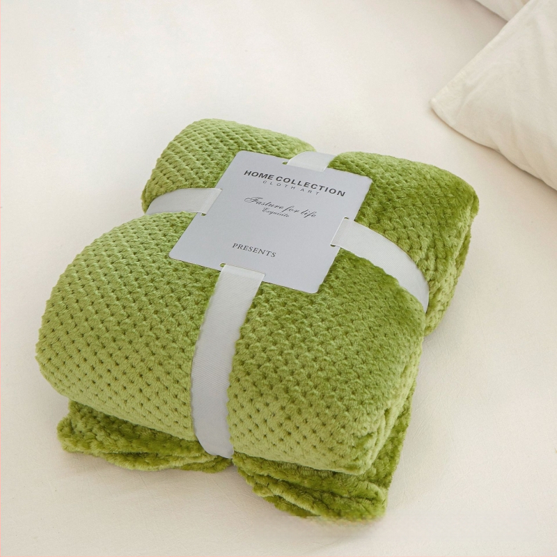 Koralinio fliso pledas, poliesterio pluoštas, 300gsm, pavasaris ir ruduo, pritaikymas prieinamas