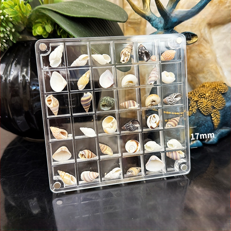 Akrilinė magnetinė dėžutė su kriauklių motyvu nuotraukų rėmeliu, vienpusė ir dvipusė, mini papuošalų laikymo dėžutė, modernus paprastumas