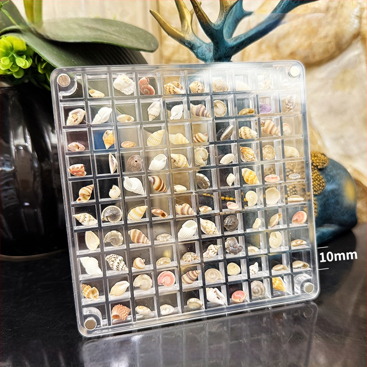 Akrilinė magnetinė dėžutė su kriauklių motyvu nuotraukų rėmeliu, vienpusė ir dvipusė, mini papuošalų laikymo dėžutė, modernus paprastumas