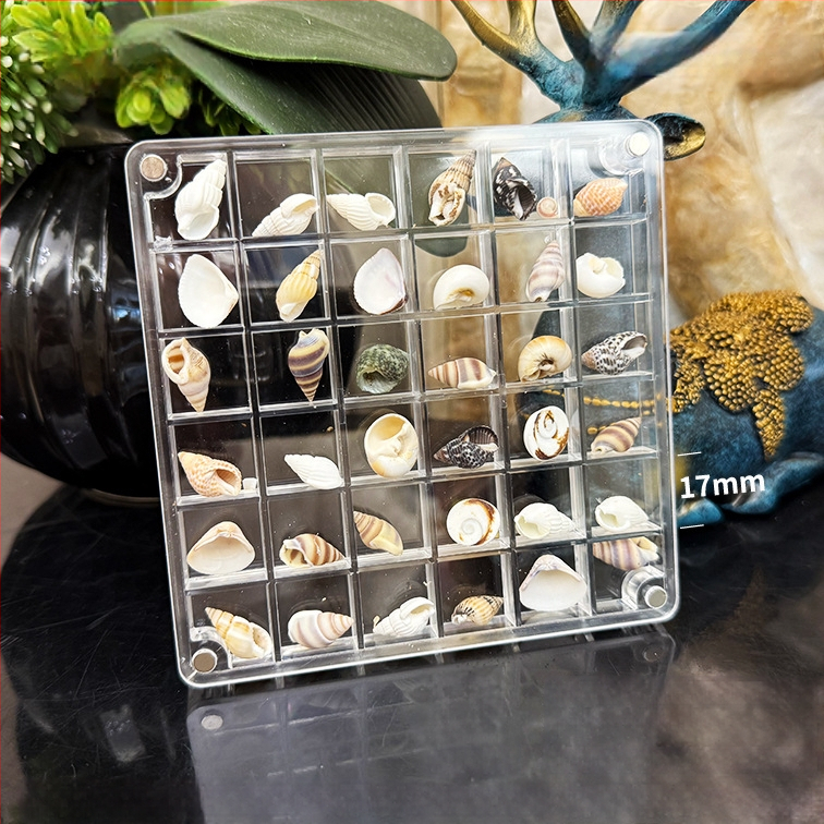 Akrilinė magnetinė dėžutė su kriauklių motyvu nuotraukų rėmeliu, vienpusė ir dvipusė, mini papuošalų laikymo dėžutė, modernus paprastumas