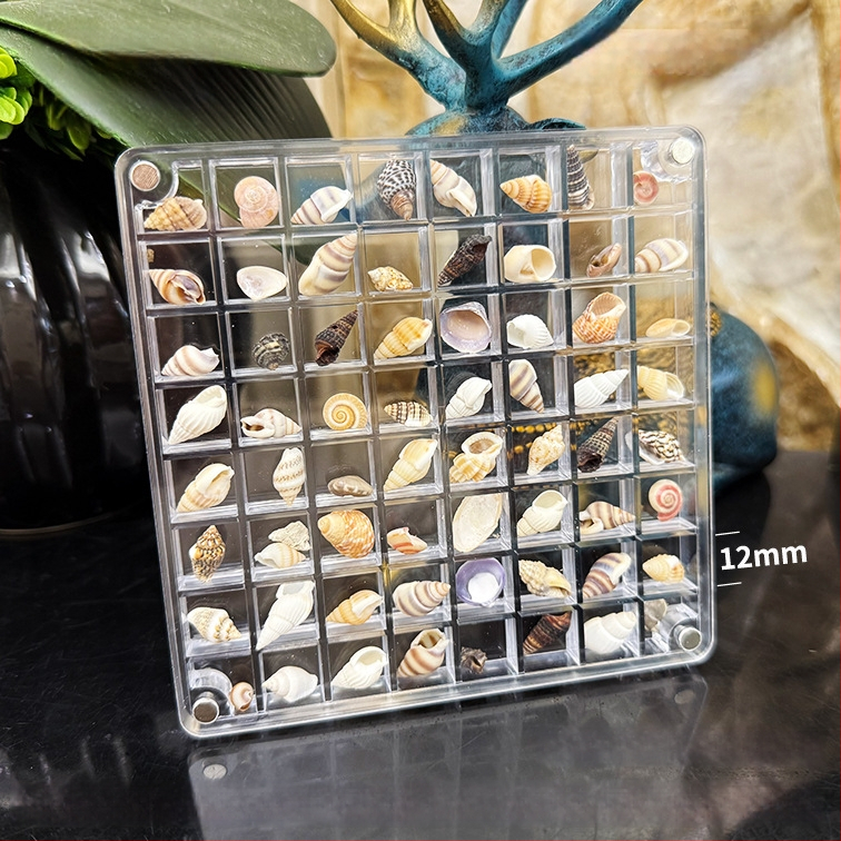 Akrilinė magnetinė dėžutė su kriauklių motyvu nuotraukų rėmeliu, vienpusė ir dvipusė, mini papuošalų laikymo dėžutė, modernus paprastumas