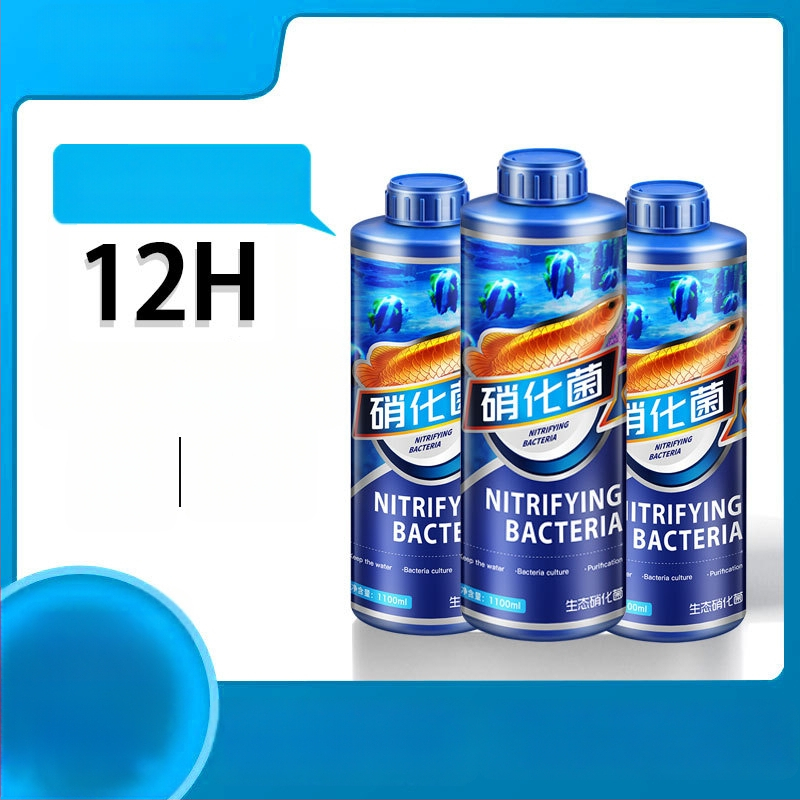 Nitrifikacijų bakterijų skystis akvariumui – vandens kokybės stabilizatorius, akvariumo įranga, prekinis ženklas Crazy aquatic plants