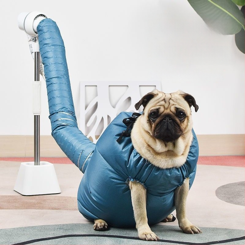 Gyvūnėlių plaukų džiovinimo sistema katėms ir šunims — 2000W+, 110V, 1 variklis, 1 šildymo elementas, universalus naudojimas