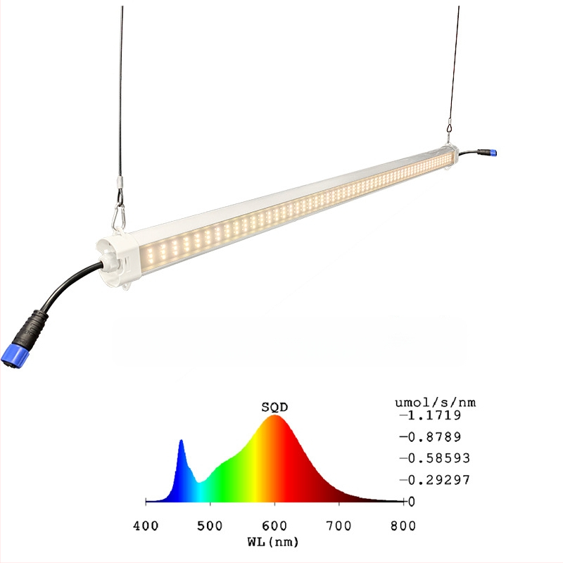 LED dvipusė augalų lemputė – 60W, 336 LED, 12007 lm, 176.4 lm/W, IP65 šiltnamiui