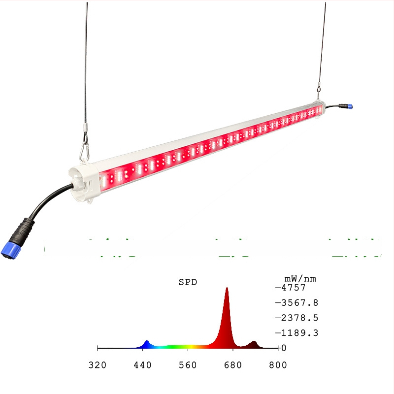 LED dvipusė augalų lemputė – 60W, 336 LED, 12007 lm, 176.4 lm/W, IP65 šiltnamiui