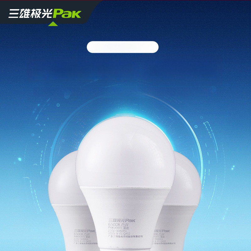 LED radaro jutiklio lemputė koridoriams ir laiptinėms, E27 sraigtinis lizdas, 220V, 95 lm/W, modelis PAK543071/PAK543072