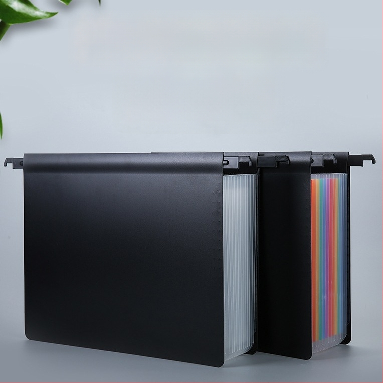 25 kišeninė akordeoninė dokumentų dėžė, PP medžiaga, dvipusė pakabinama, logotipo spauda, pritaikytas apdorojimas