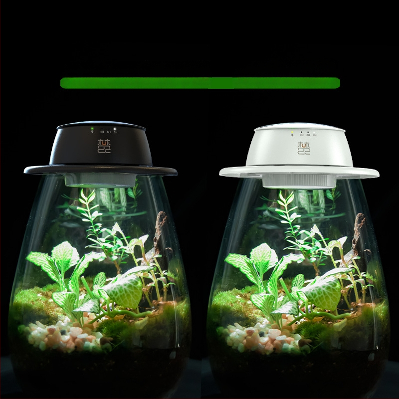 Įkraunama augalų augimo lemputė mikro kraštovaizdžiui su samanos buteliuke, pilno spektro LED, 4 LED, 140 lm, IP65, 220 V, tarnavimo laikas 3–5 metai