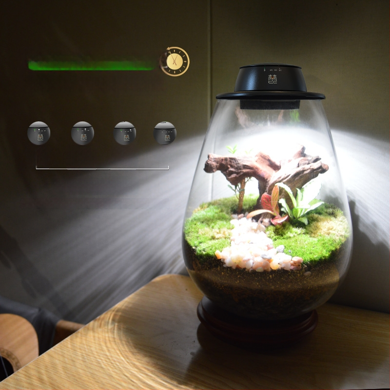 Įkraunama augalų augimo lemputė mikro kraštovaizdžiui su samanos buteliuke, pilno spektro LED, 4 LED, 140 lm, IP65, 220 V, tarnavimo laikas 3–5 metai