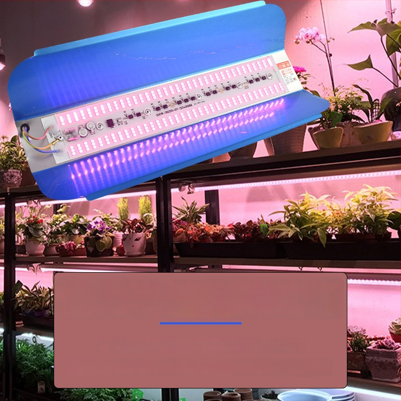 Augalų augimui LED lemputė, 100W, 100 LED, 1000 lm, IP65, tarnavimo laikas 50000 h