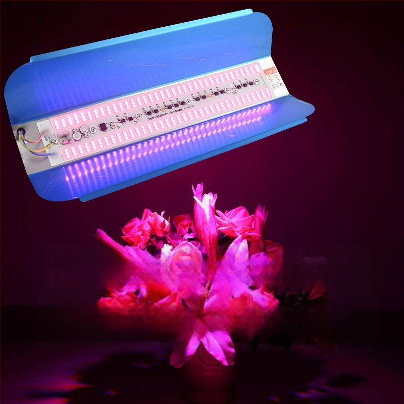 Augalų augimui LED lemputė, 100W, 100 LED, 1000 lm, IP65, tarnavimo laikas 50000 h