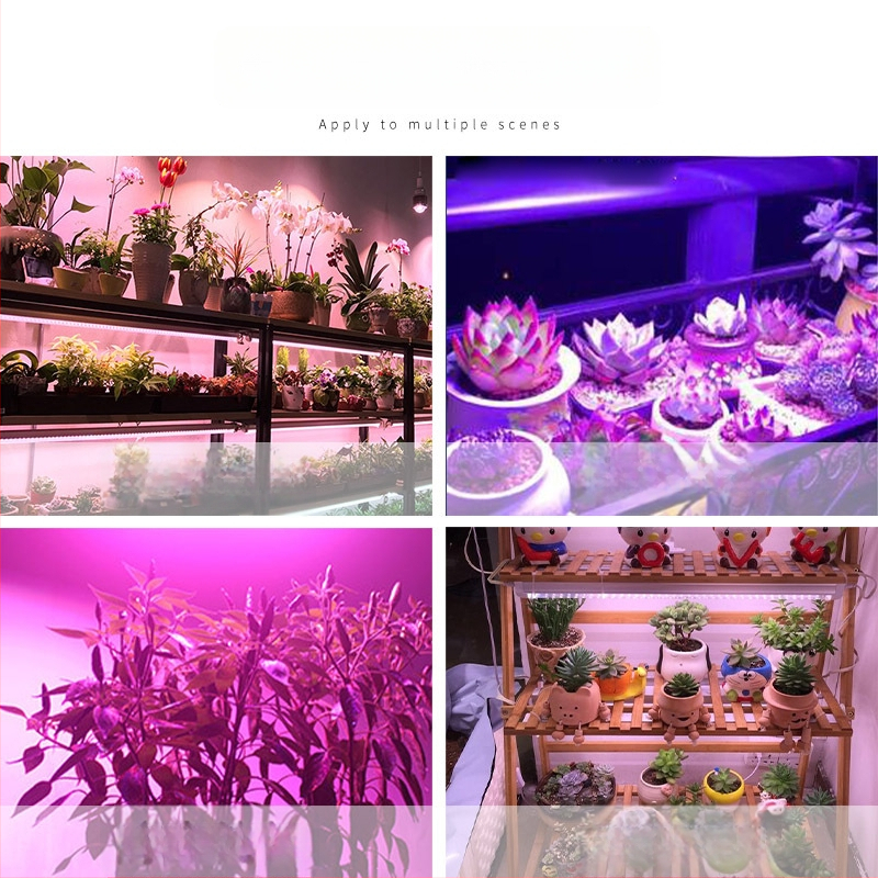 Augalų augimui LED lemputė, 100W, 100 LED, 1000 lm, IP65, tarnavimo laikas 50000 h