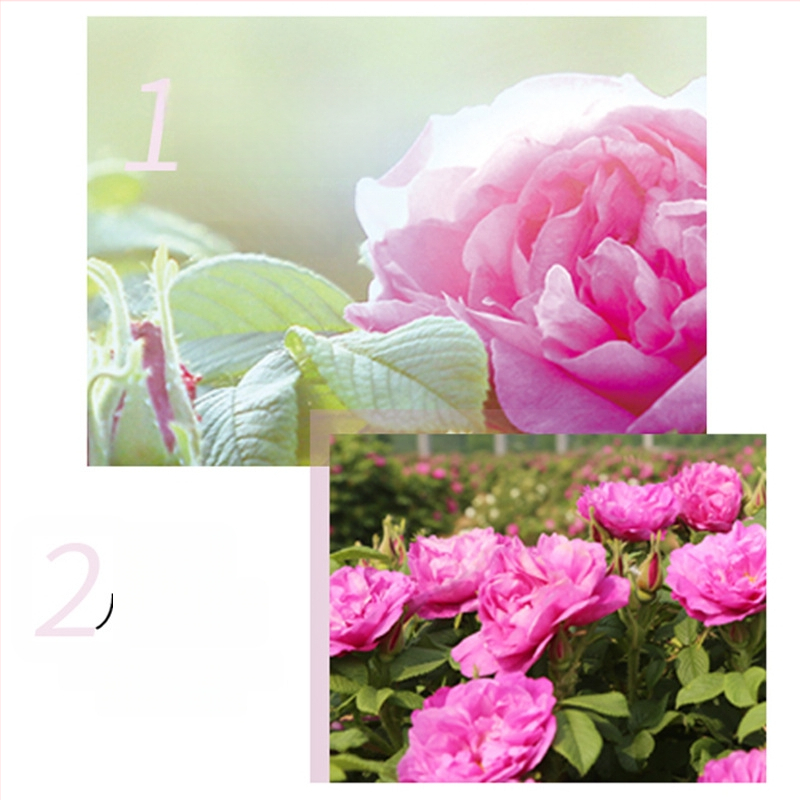 Rožių drėkinanti krem-gelio kaukė normaliai, riebiai ir sausai odai (galiojimo terminas 3 metai, neimportuota)