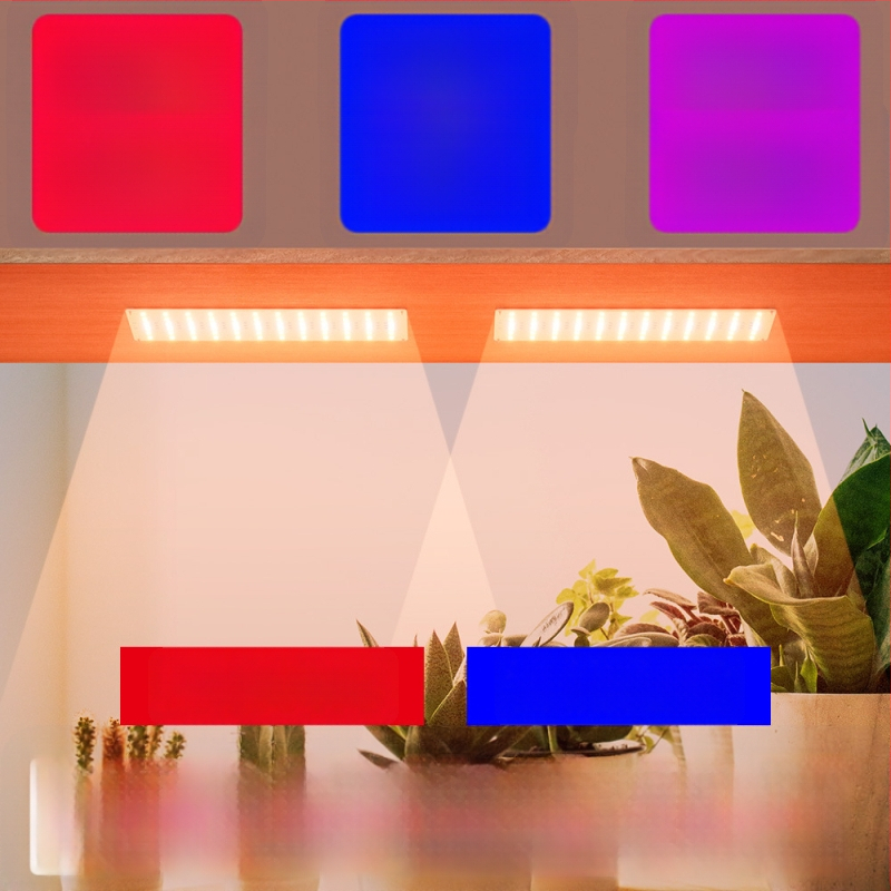 LED vidaus augalų augimo šviesa su 288 LED, įėjimas 5V, IP42 apsauga, mygtukinė kontrolė, tarnavimo laikas 50 000 h