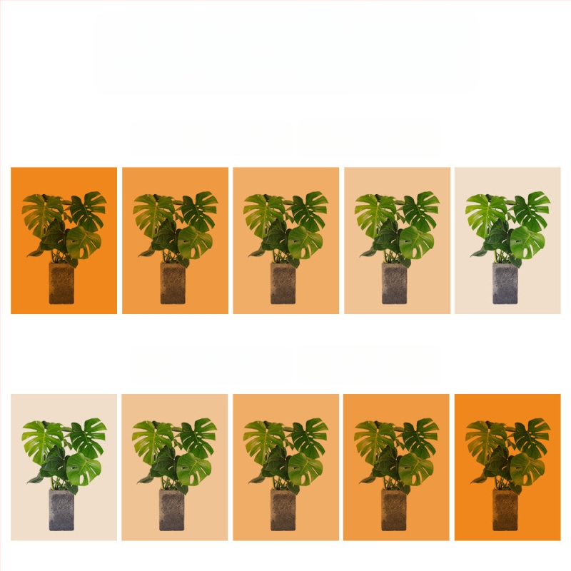 LED vidaus augalų augimo šviesa su 288 LED, įėjimas 5V, IP42 apsauga, mygtukinė kontrolė, tarnavimo laikas 50 000 h